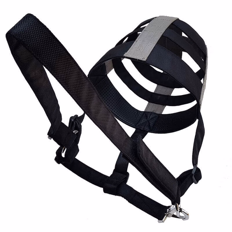 Horse Accessories icon