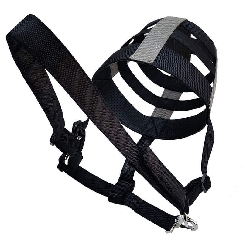 Customize various horse accessories