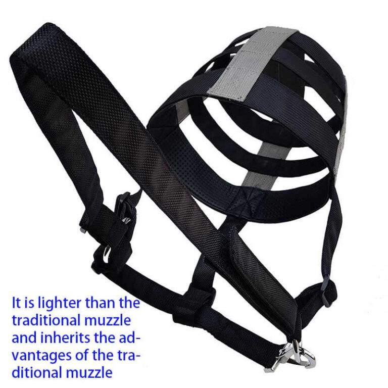 Horse muzzle display Picture