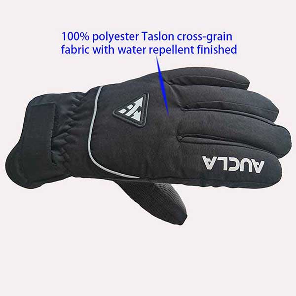 ブラック スキーグローブ 背面表示