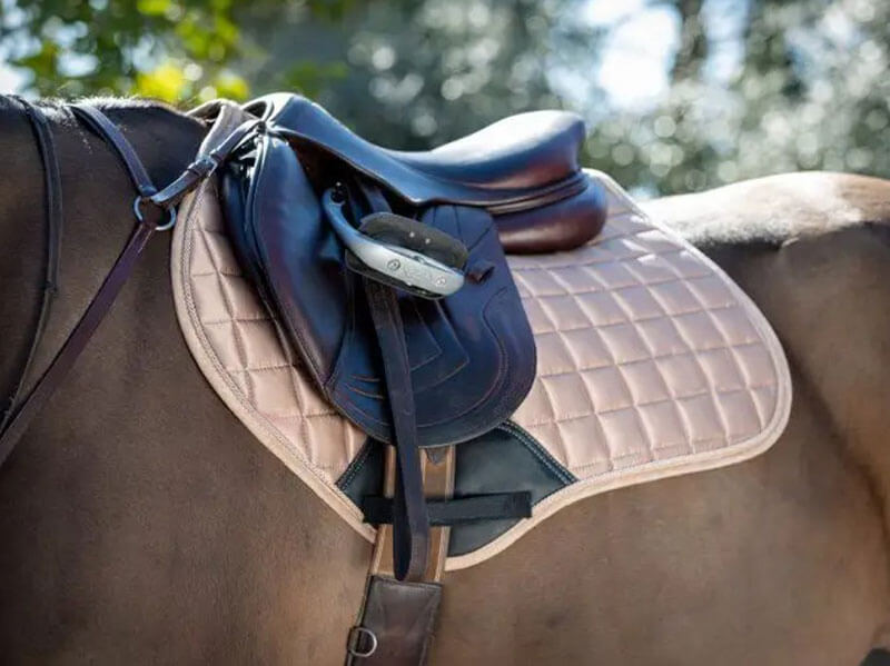 Pferd Schabracke Display Bild