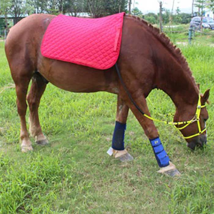 Wie wählt man eine Satteldecke für ein Pferd aus?